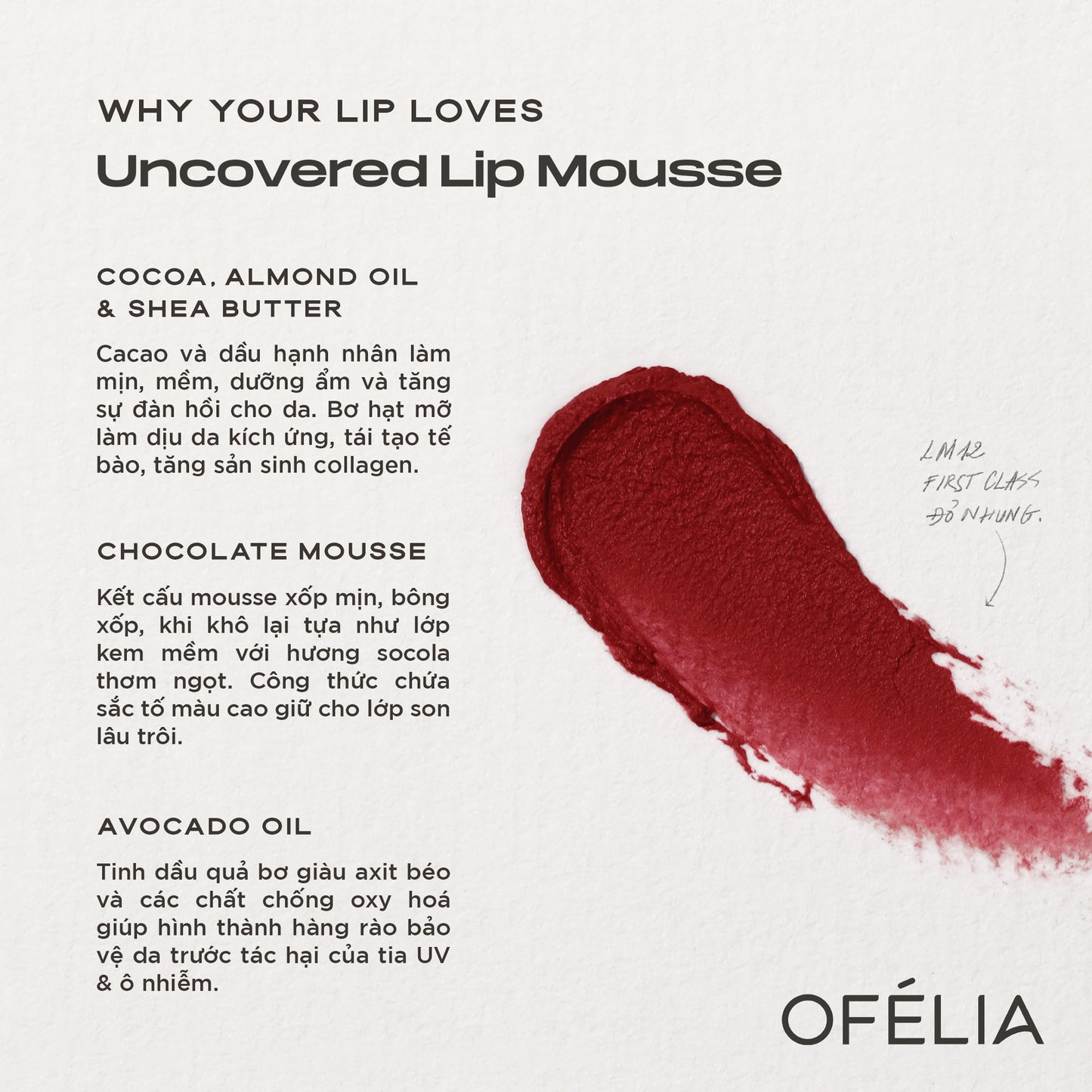 SET UNCOVERED LIP MOUSSE + LOLLI LIQUID BLUSH